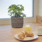 Prázdninový dům - Kinderspielplatz - Garten Mit Feuerstelle Timelkam